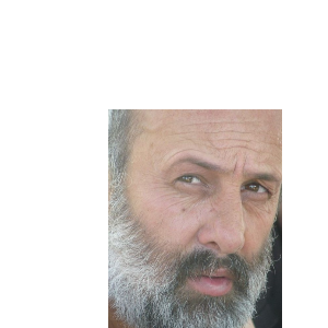 RANG, CARLOS ALBERTO